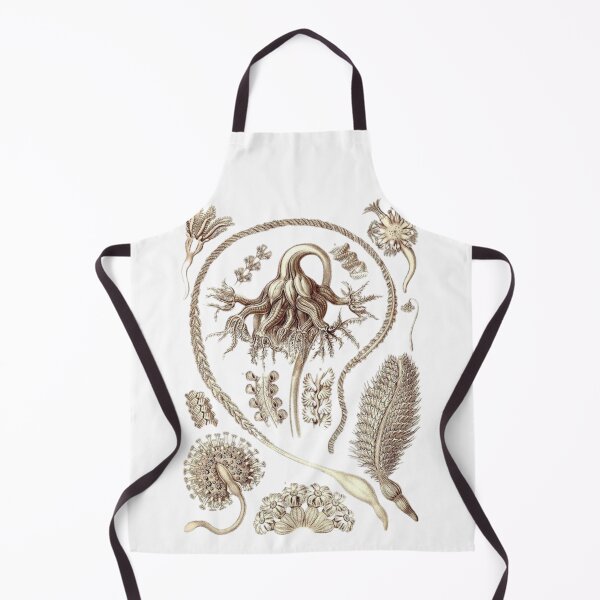 Item preview, Order Scleractinia designed and sold by PatronesKawai.