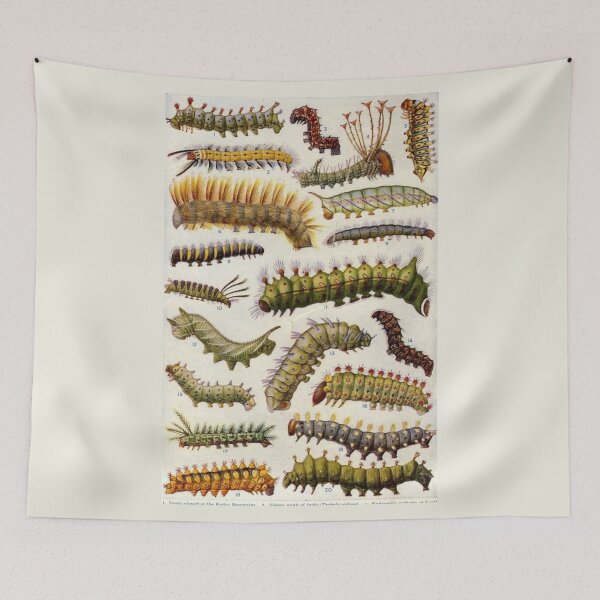 Item preview, Order Lepidoptera designed and sold by PatronesKawai.