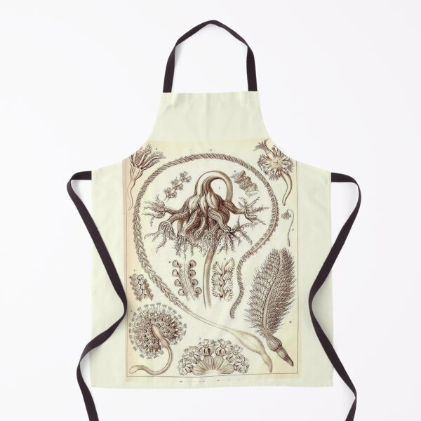 Item preview, Order Scleractinia designed and sold by PatronesKawai.