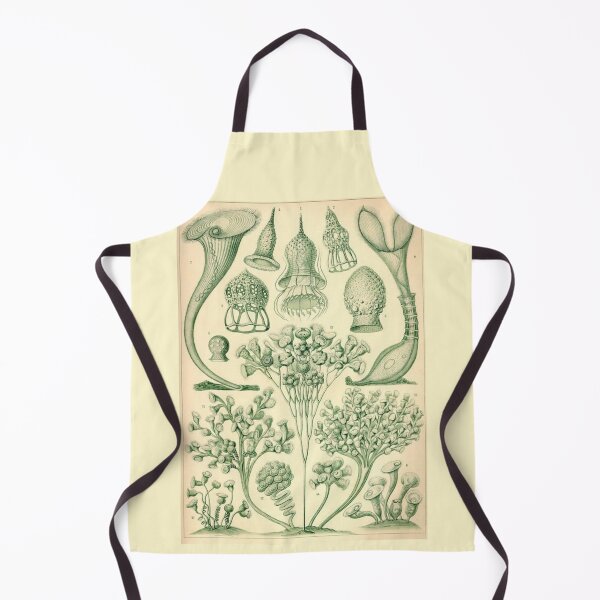 Item preview, Order Scleractinia designed and sold by PatronesKawai.