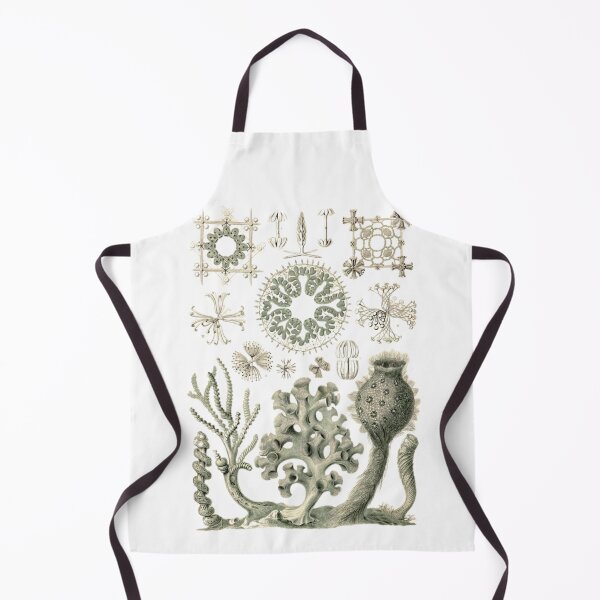 Item preview, Order Scleractinia designed and sold by PatronesKawai.