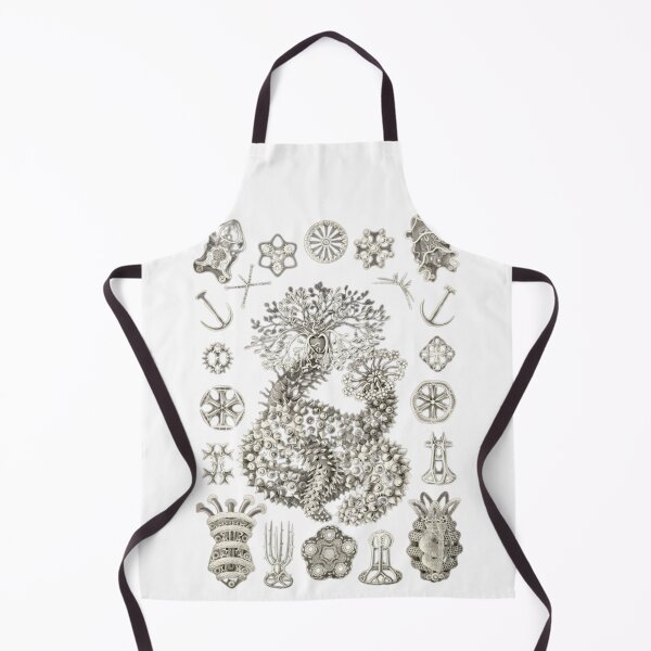 Item preview, Order Scleractinia designed and sold by PatronesKawai.