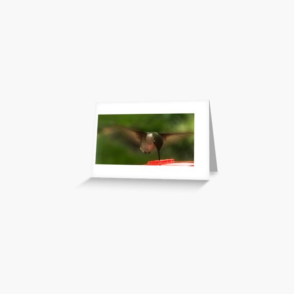 Flight Greeting Card