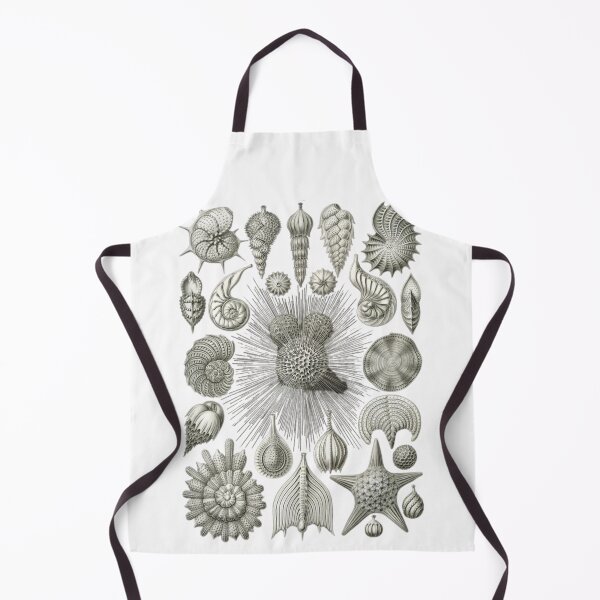 Item preview, Order Gastropoda designed and sold by PatronesKawai.