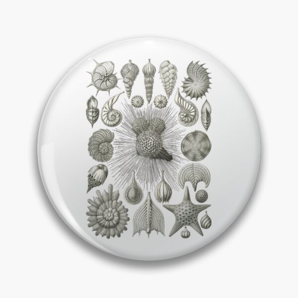 Item preview, Order Gastropoda designed and sold by PatronesKawai.