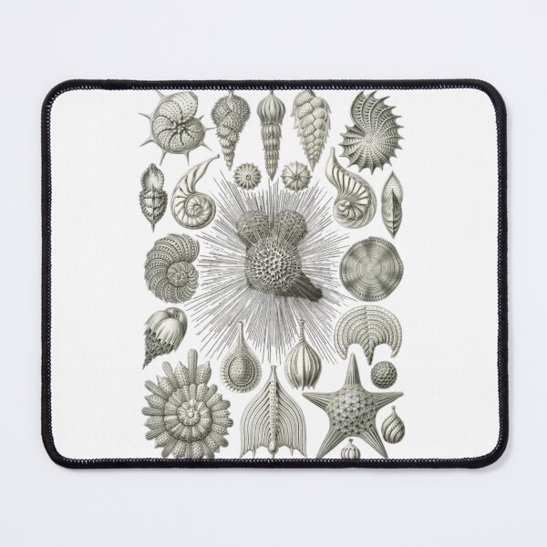 Item preview, Order Gastropoda designed and sold by PatronesKawai.