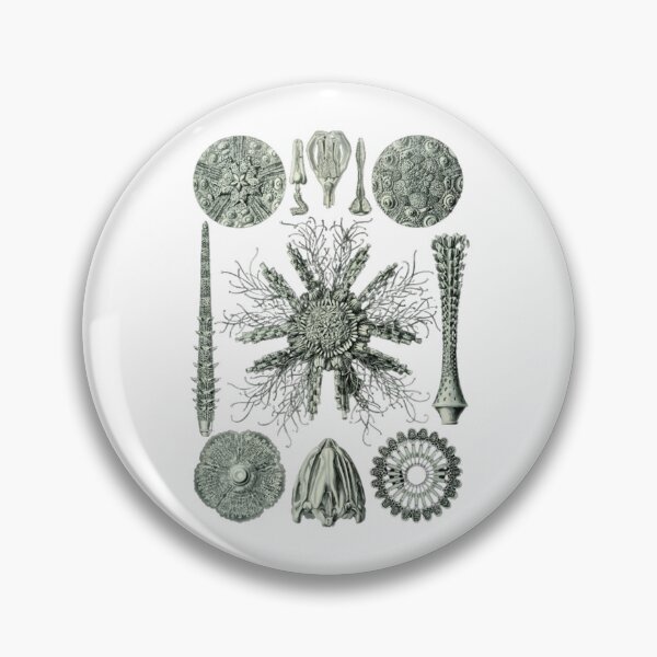 Item preview, Order Scleractinia designed and sold by PatronesKawai.