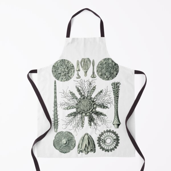 Item preview, Order Scleractinia designed and sold by PatronesKawai.