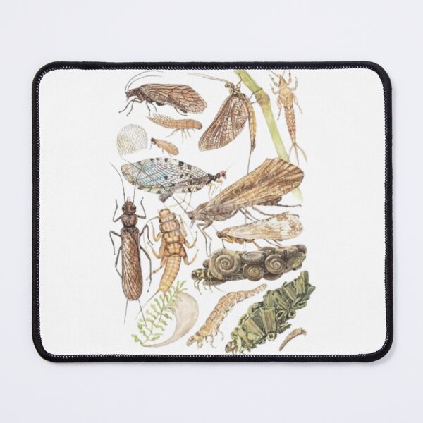 Item preview, Order Hemiptera designed and sold by PatronesKawai.