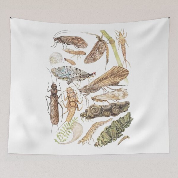 Item preview, Order Hemiptera designed and sold by PatronesKawai.