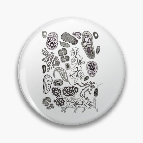 Item preview, Kingdom Protista designed and sold by PatronesKawai.