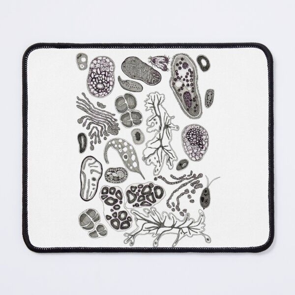 Item preview, Kingdom Protista designed and sold by PatronesKawai.