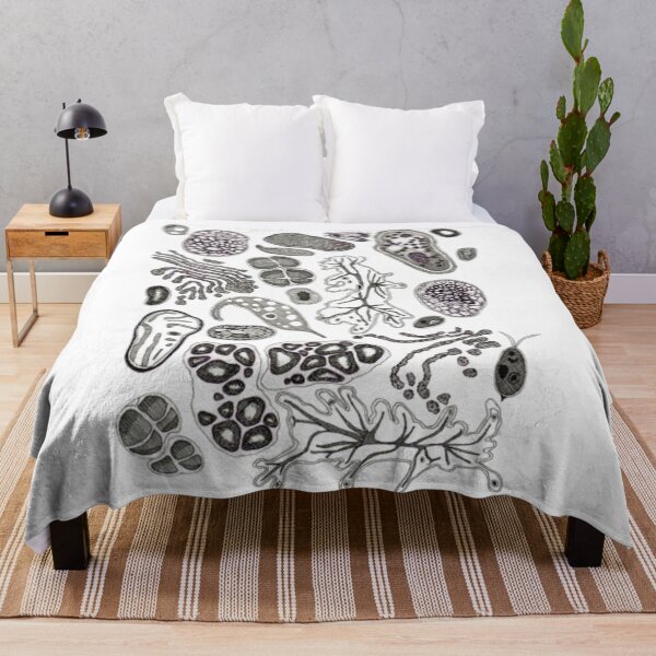 Item preview, Kingdom Protista designed and sold by PatronesKawai.