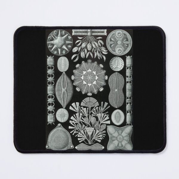 Item preview, Order Radiolaria designed and sold by PatronesKawai.