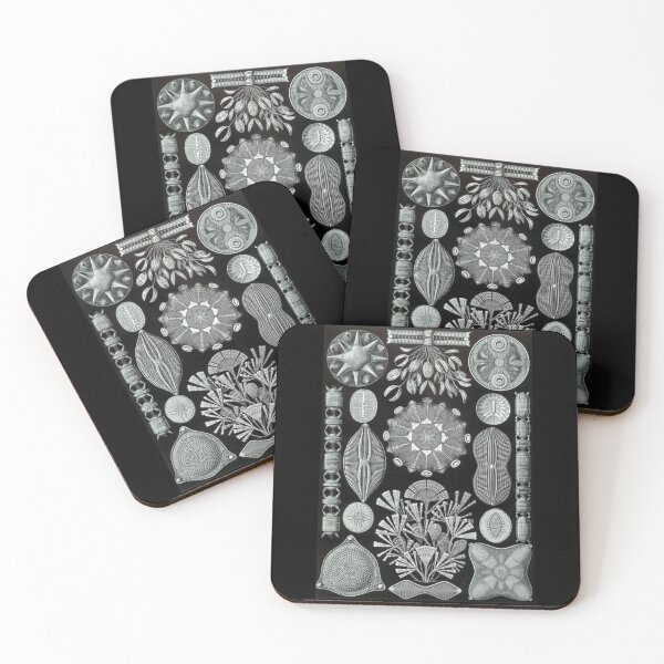 Item preview, Order Radiolaria designed and sold by PatronesKawai.