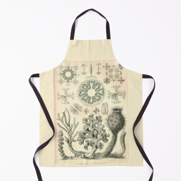 Item preview, Order Scleractinia designed and sold by PatronesKawai.