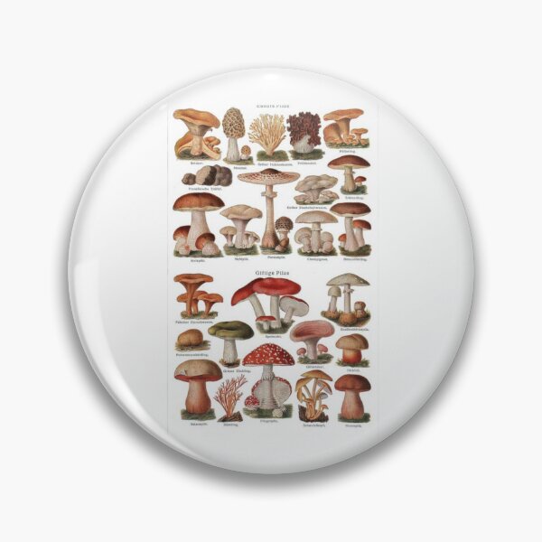 Item preview, Kingdom Fungi designed and sold by PatronesKawai.