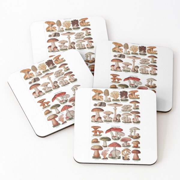 Item preview, Kingdom Fungi designed and sold by PatronesKawai.