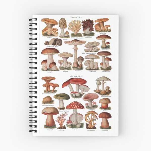 Item preview, Kingdom Fungi designed and sold by PatronesKawai.