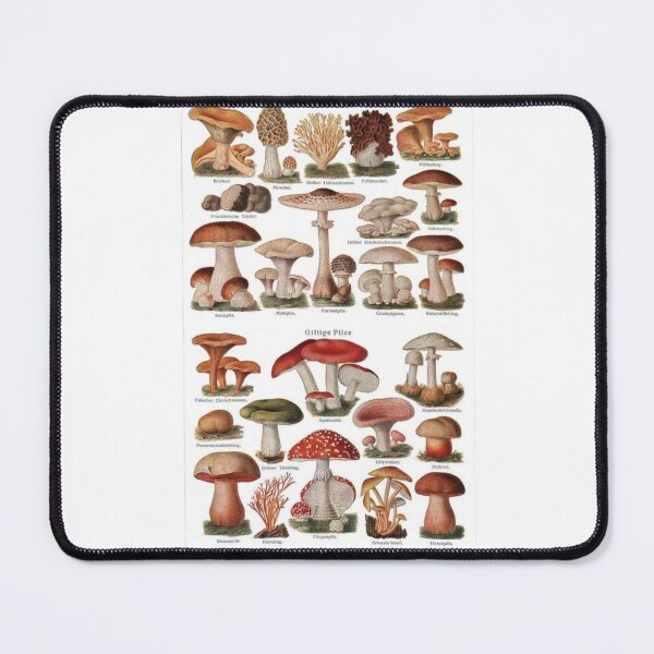 Item preview, Kingdom Fungi designed and sold by PatronesKawai.