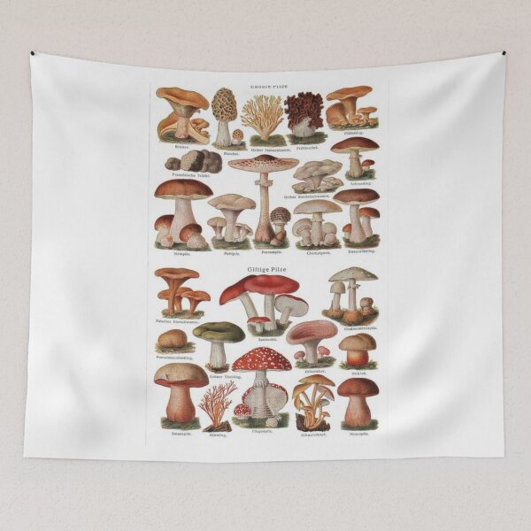 Item preview, Kingdom Fungi designed and sold by PatronesKawai.