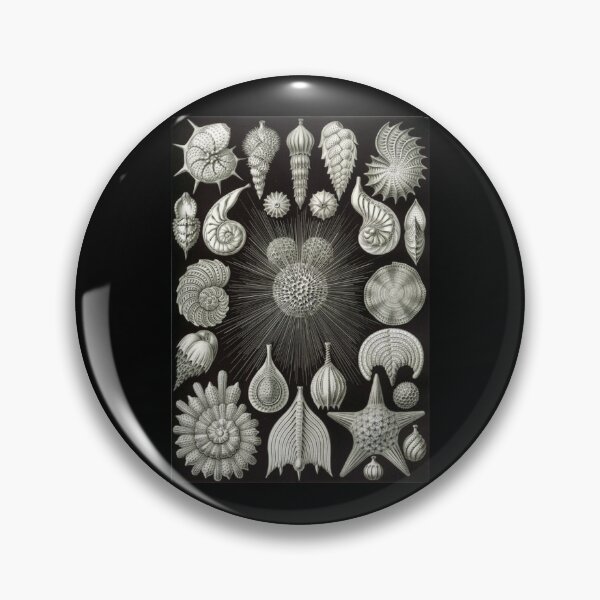 Item preview, Order Radiolaria designed and sold by PatronesKawai.