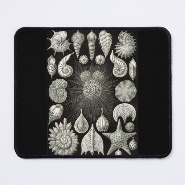 Item preview, Order Radiolaria designed and sold by PatronesKawai.