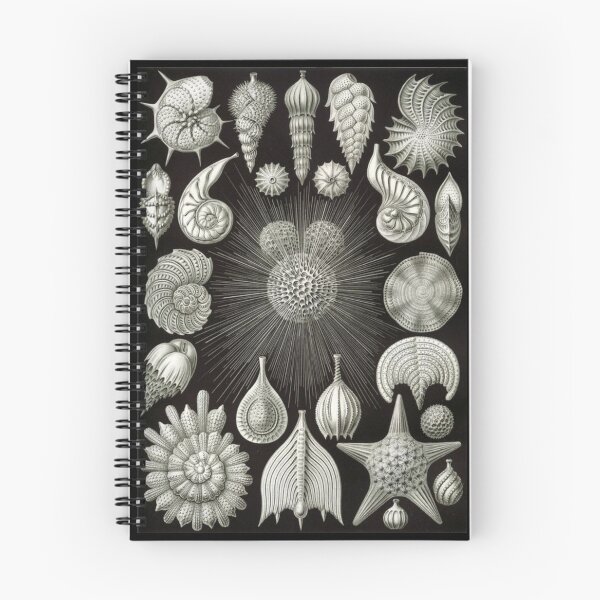 Item preview, Order Radiolaria designed and sold by PatronesKawai.