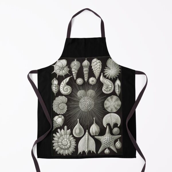Item preview, Order Radiolaria designed and sold by PatronesKawai.