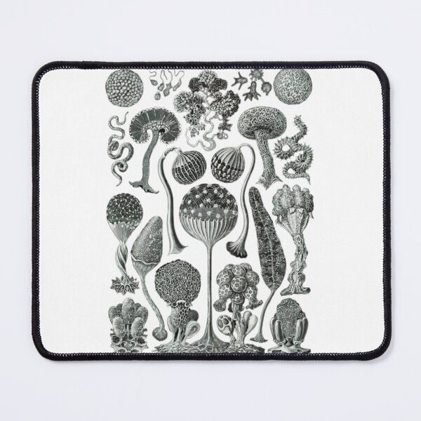 Item preview, Order Scleractinia designed and sold by PatronesKawai.