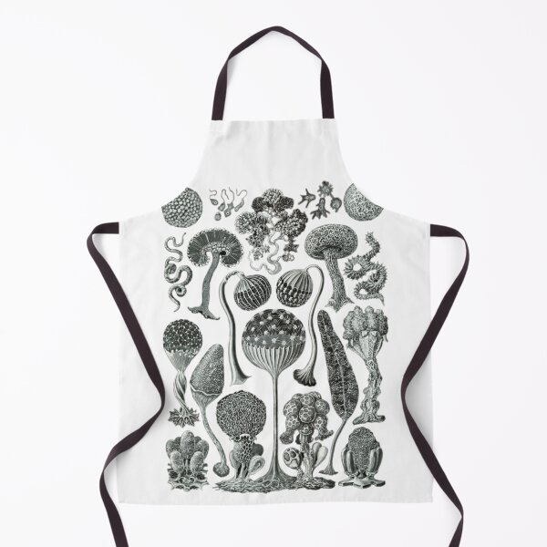 Item preview, Order Scleractinia designed and sold by PatronesKawai.