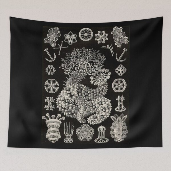 Item preview, Order Scleractinia designed and sold by PatronesKawai.