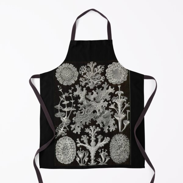 Item preview, Order Scleractinia designed and sold by PatronesKawai.