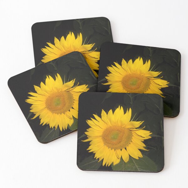 Artikelvorschau, Sonnenblume Digitales Foto entworfen und verkauft von Julia Healy.