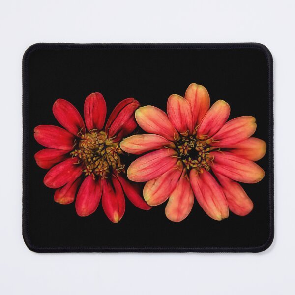 Item preview, Zinging Zinnia Aglow designed and sold by Kay Brewer.