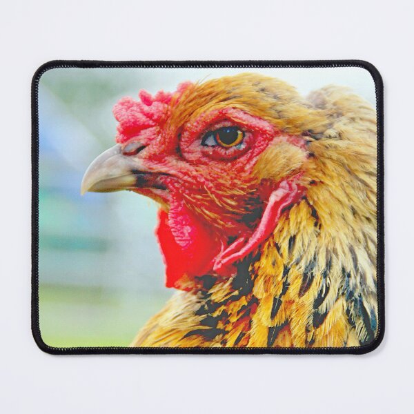 Item preview, Mother Hen designed and sold by Duncan-Mac.