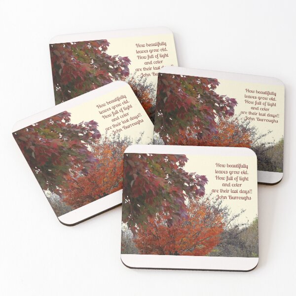 Item preview, Beauty of Fall Photo Quote designed and sold by CarolBeeDesigns.