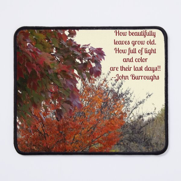 Item preview, Beauty of Fall Photo Quote designed and sold by CarolBeeDesigns.