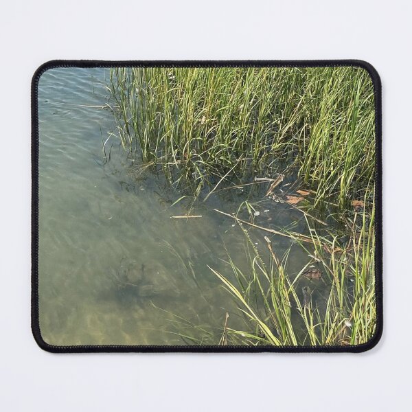 Item preview, Salt Marsh near the Shore designed and sold by CJRPics.