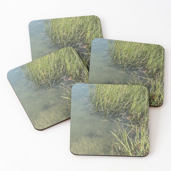 Item preview, Salt Marsh near the Shore designed and sold by CJRPics.