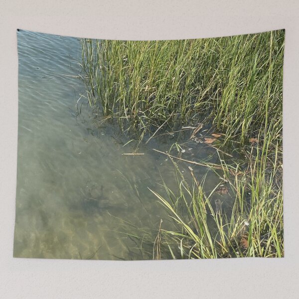 Item preview, Salt Marsh near the Shore designed and sold by CJRPics.