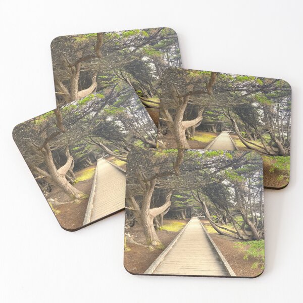 Item preview, Walk Through MacKerricher Park designed and sold by To-vintageWlove.