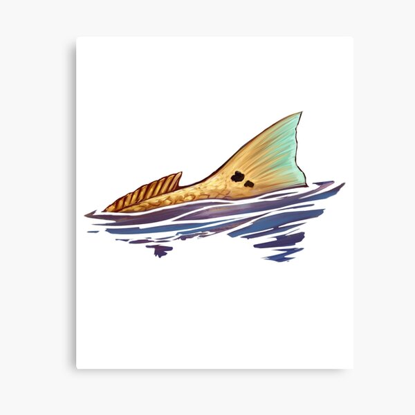 Tailing Redfish  Redfish Tail Canvas Print for Sale by blueshore