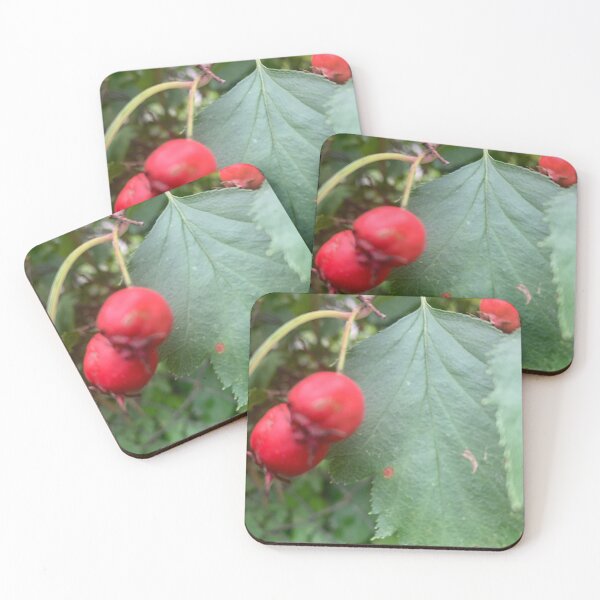 Item preview, Crataegus berries style.  designed and sold by Valgasnews011.