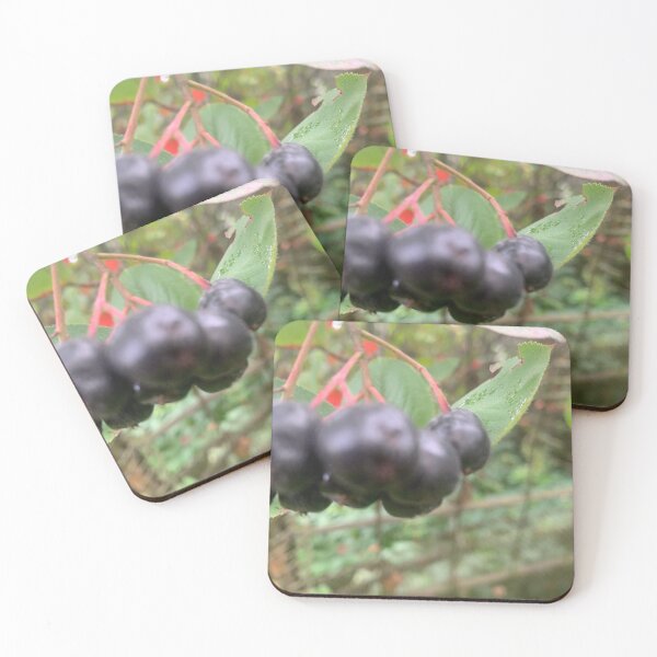 Item preview, Aronia style. designed and sold by Valgasnews011.