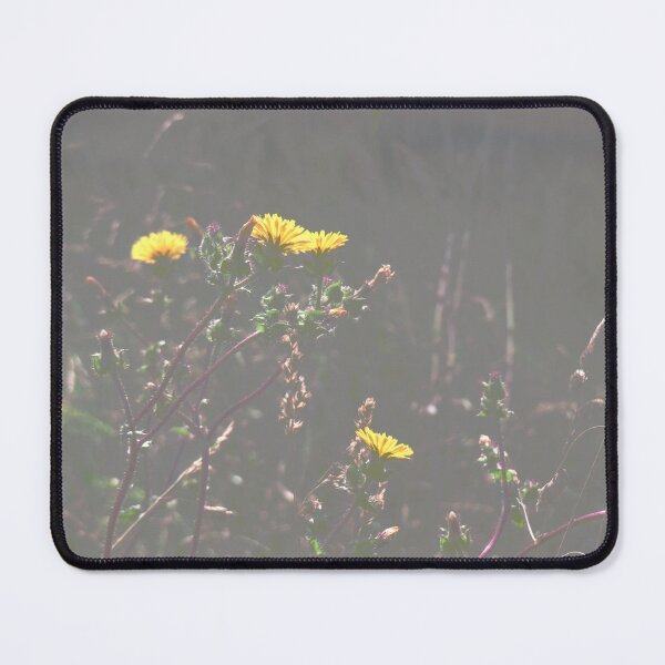 Item preview, Backlight... designed and sold by ART22.