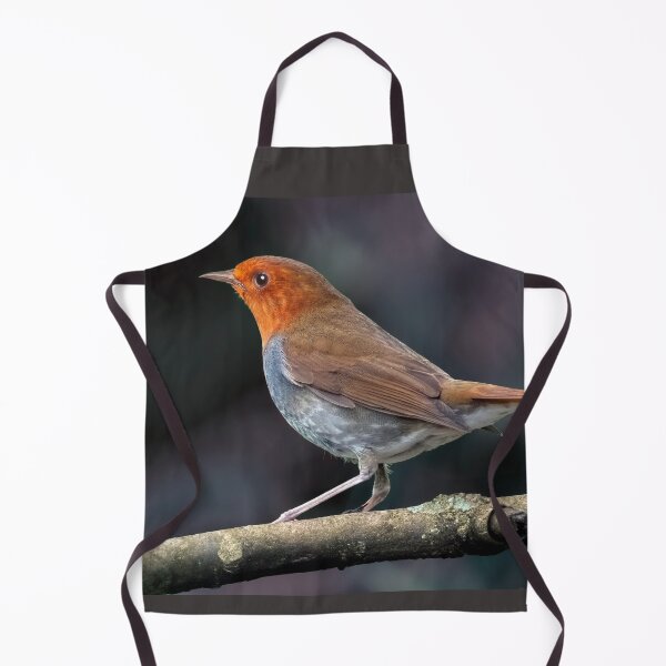 Item preview, Robin designed and sold by Tom McPherson Photography.