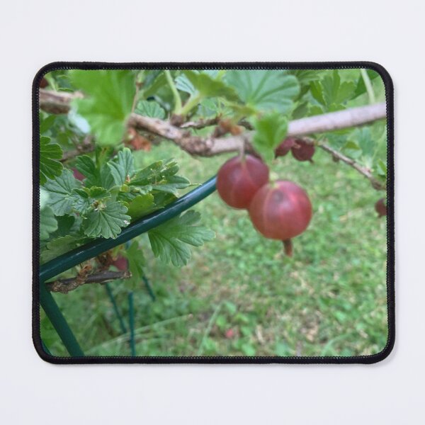 Item preview, gooseberry style. designed and sold by Valgasnews011.