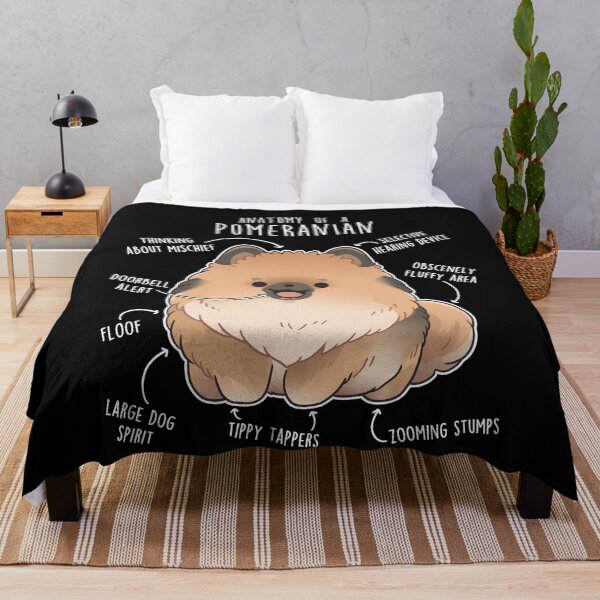 Item preview, Orange Sable Pomeranian Dog Anatomy designed and sold by Clara Hollins.