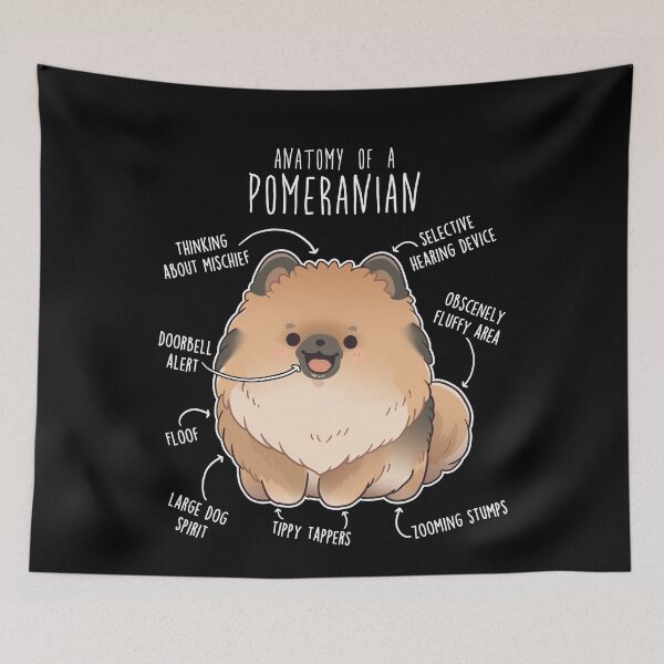 Item preview, Orange Sable Pomeranian Dog Anatomy designed and sold by Clara Hollins.